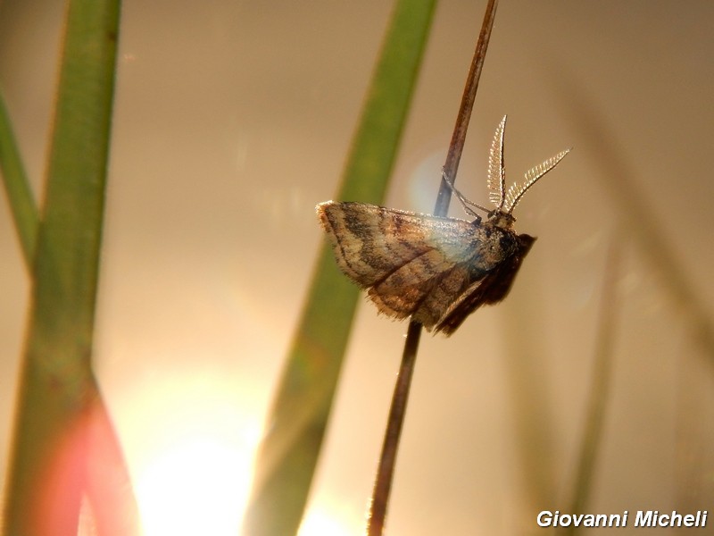 ..all''ombra dell''ultimo sole...